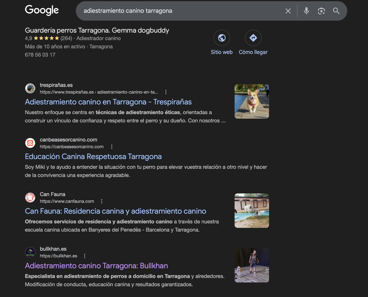 Bullkhan — Página 1 en Google para "adiestramiento canino tarragona"